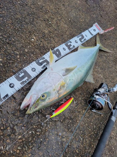 久しぶりの釣果