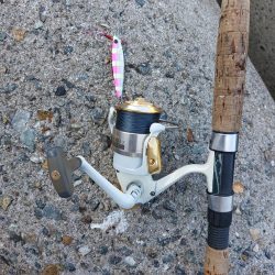 プチsalt water game