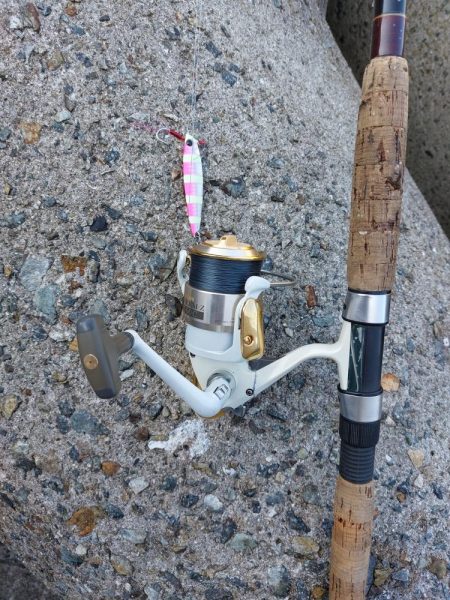 プチsalt water game