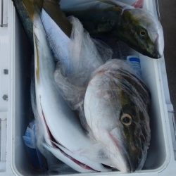 ブリリアントな１日