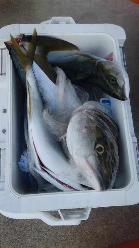 ブリリアントな１日