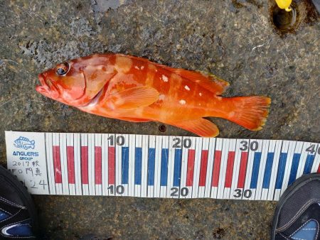 沖ノ島遠征part2