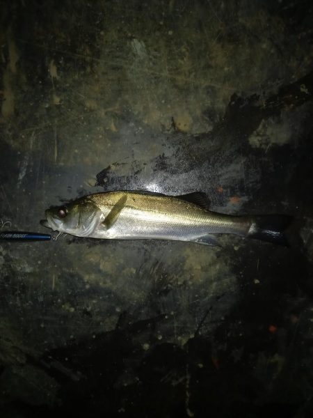 強風でラインコントロール出来ず