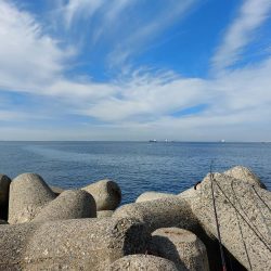 プチsalt water game