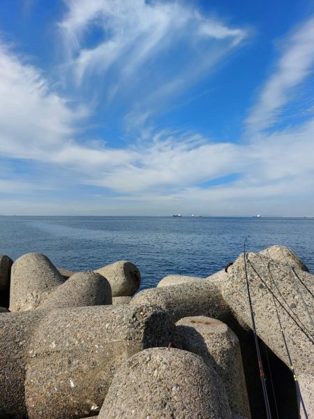 プチsalt water game