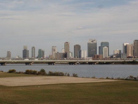 淀川 ハゼ 穴釣り