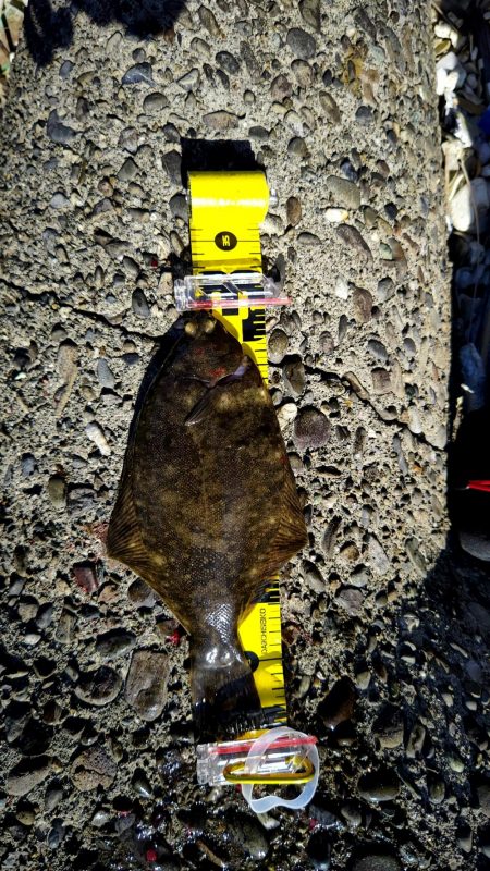 もう居てますね