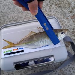 期待してなかったのに