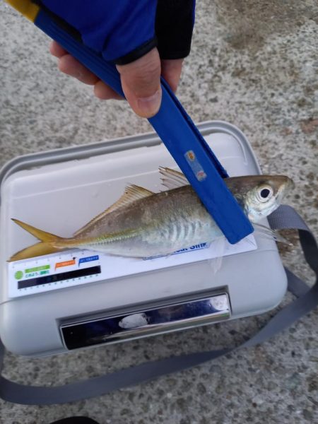 期待してなかったのに