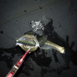 フラッシュブーストは凄い