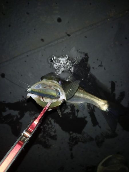 フラッシュブーストは凄い