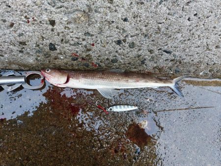 プチsalt water game