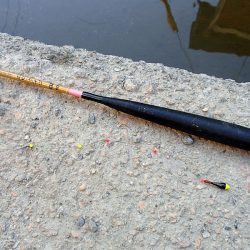 15分 お手軽フィッシング