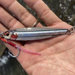 ショアジギ ヒラ祭り