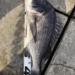 イチノ兄弟、釣果！