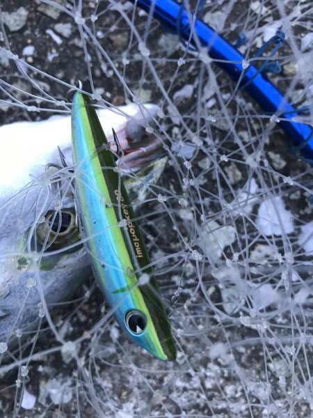 長潮まずめパターンはアツイ