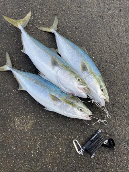 爆風湾岸ミノー