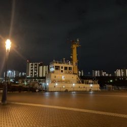 ファミリーフィッシング