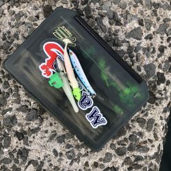 シブイ　タチウオさん