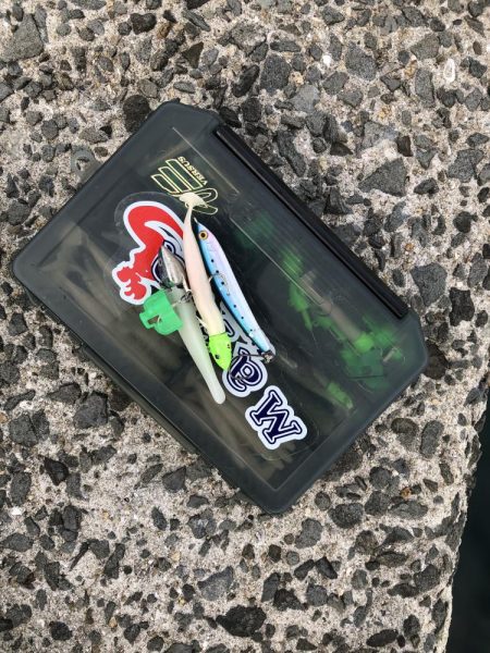 シブイ　タチウオさん