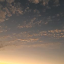 イカの気持ち４