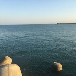 ショアジギング