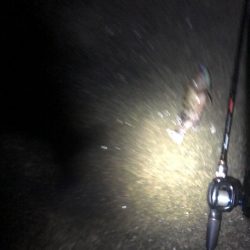 南港　朝マズメ　