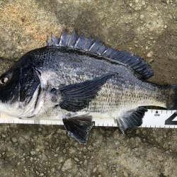 イチノ兄弟、釣果！