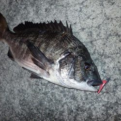 武庫一でライトワインド！