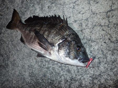 武庫一でライトワインド！