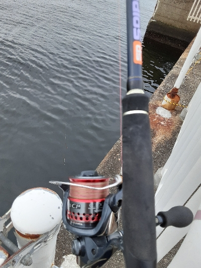 タチウオ&大鯖狙いで結局中鯖