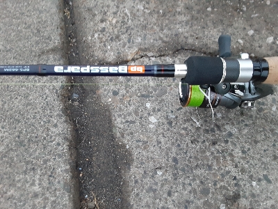 久々の釣果もサバのみ