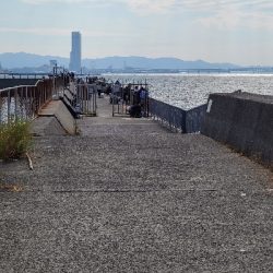 貝塚でエギング！