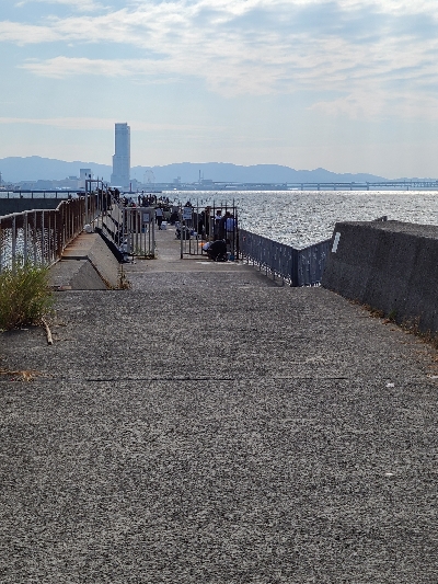 貝塚でエギング！