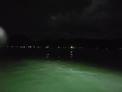 ナイトアジング