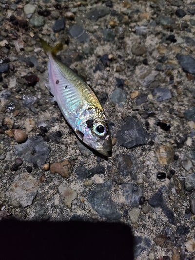 いつもと同じように