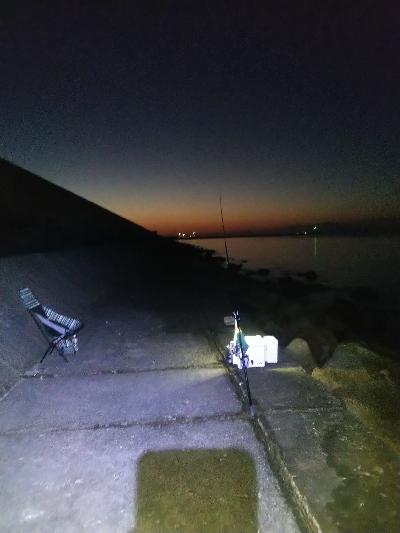 苅屋のキス釣り