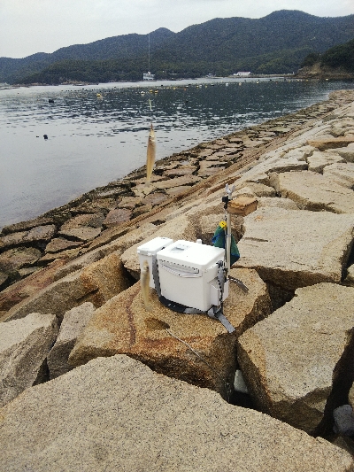 室津のキス釣り