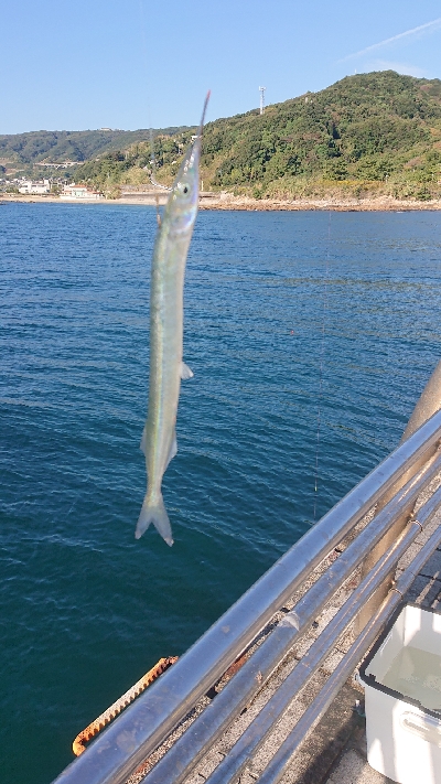 リベンジ達成でメジロ捕獲！