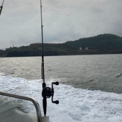 激シブジギング