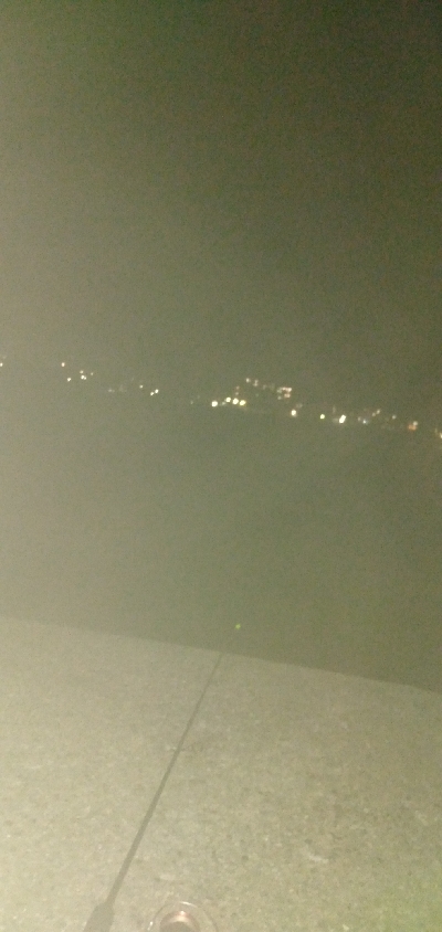 サビキ&ぶっこみ