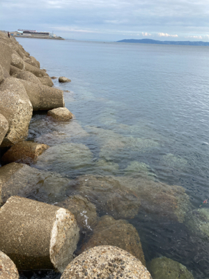 短時間でもアオリGET＼(^o^)／