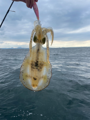 初ティップランと初魚種