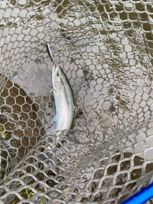 黒保根渓流フィシング