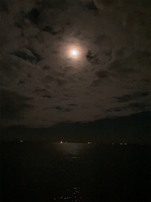 アオリイカ今季最大サイズGET\(^o^)/