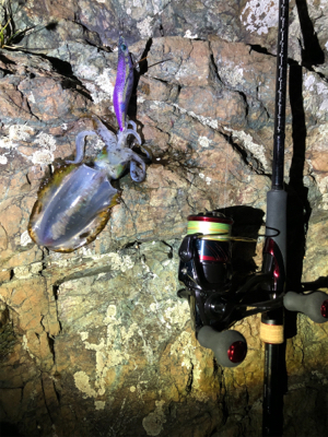 久しぶりの感触