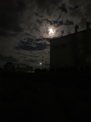 アオリの地合いは一瞬(^.^)