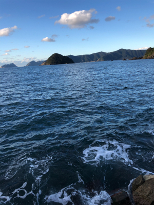 急に冷えましたが・・・