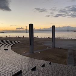 ガシラ、グレ、カワハギ