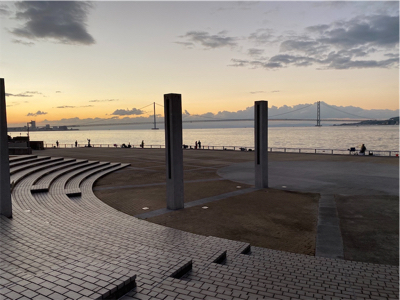 ガシラ、グレ、カワハギ